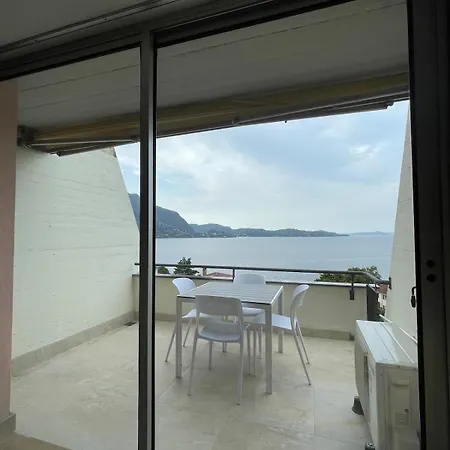 La Selva Vista